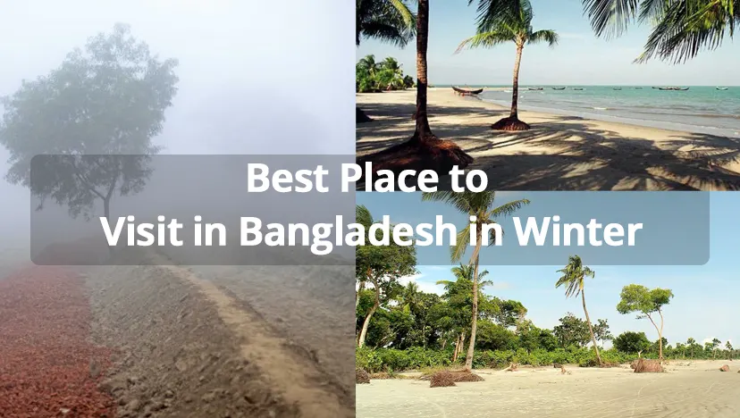 Best Place to Visit in Bangladesh in Winter