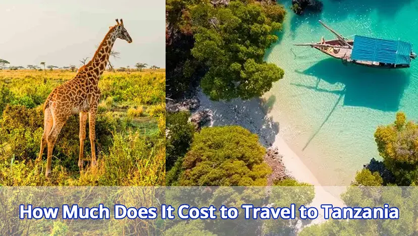 How Much Does It Cost to Travel to Tanzania