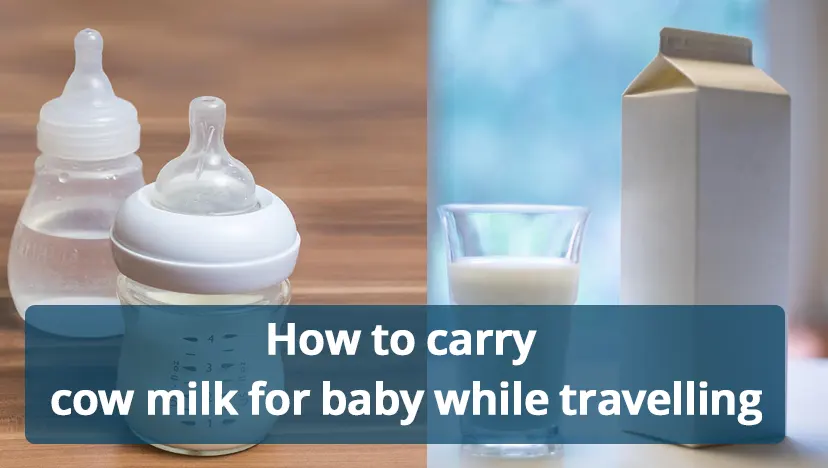How to carry cow milk for baby while travelling