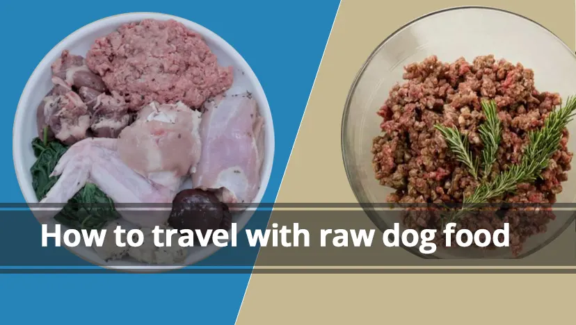 How to travel with raw dog food