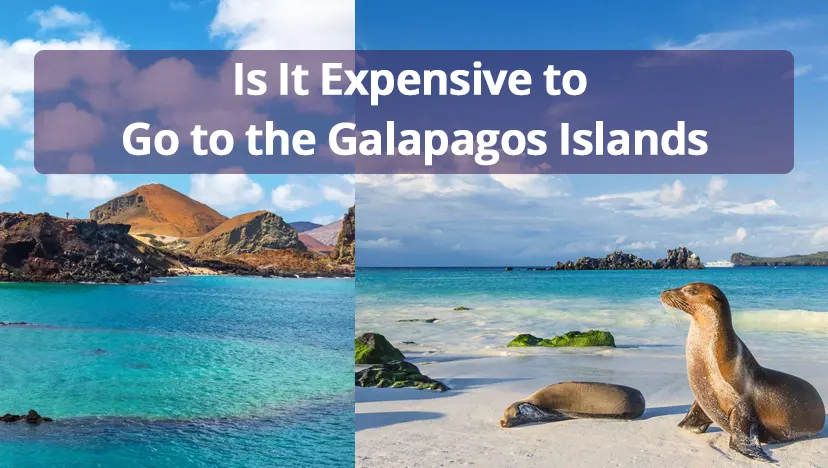 Is It Expensive to Go to the Galapagos Islands