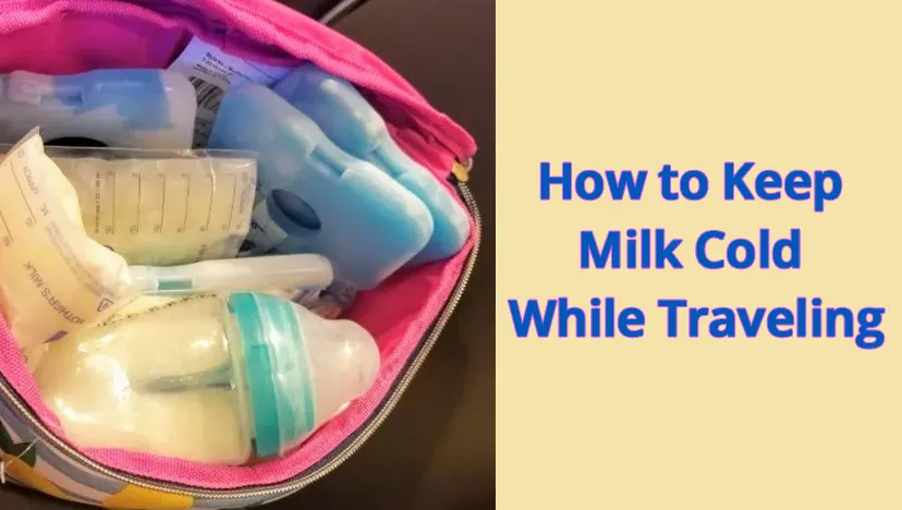 Keep Milk Cold While Traveling