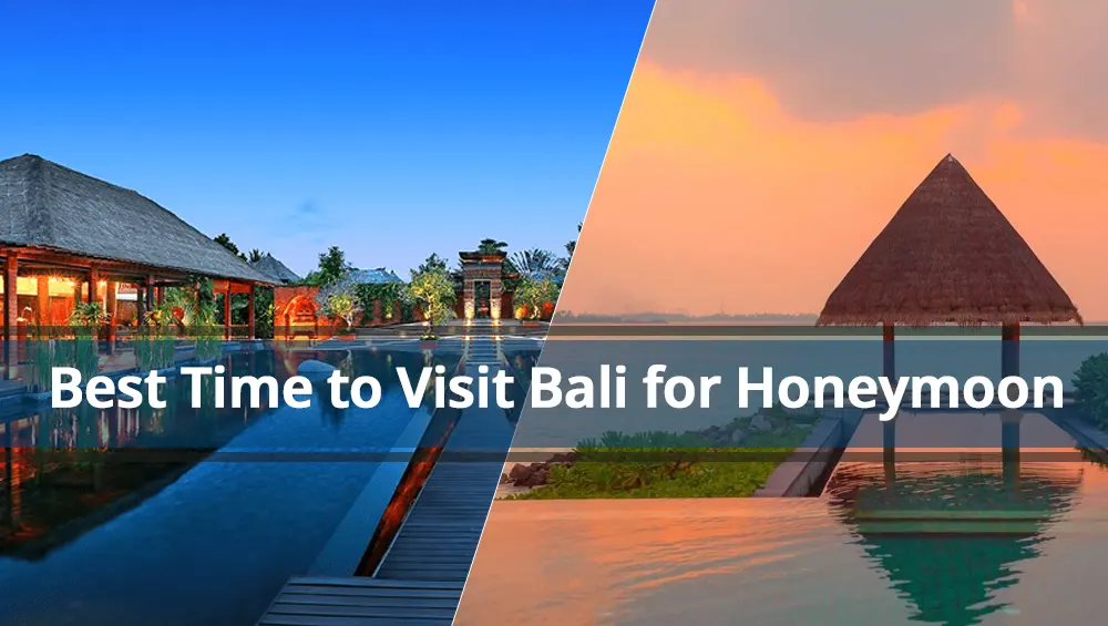 Best Time to Visit Bali for Honeymoon