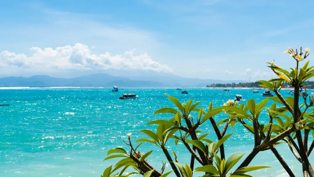 Why Is Bali A Popular Travel Destination
