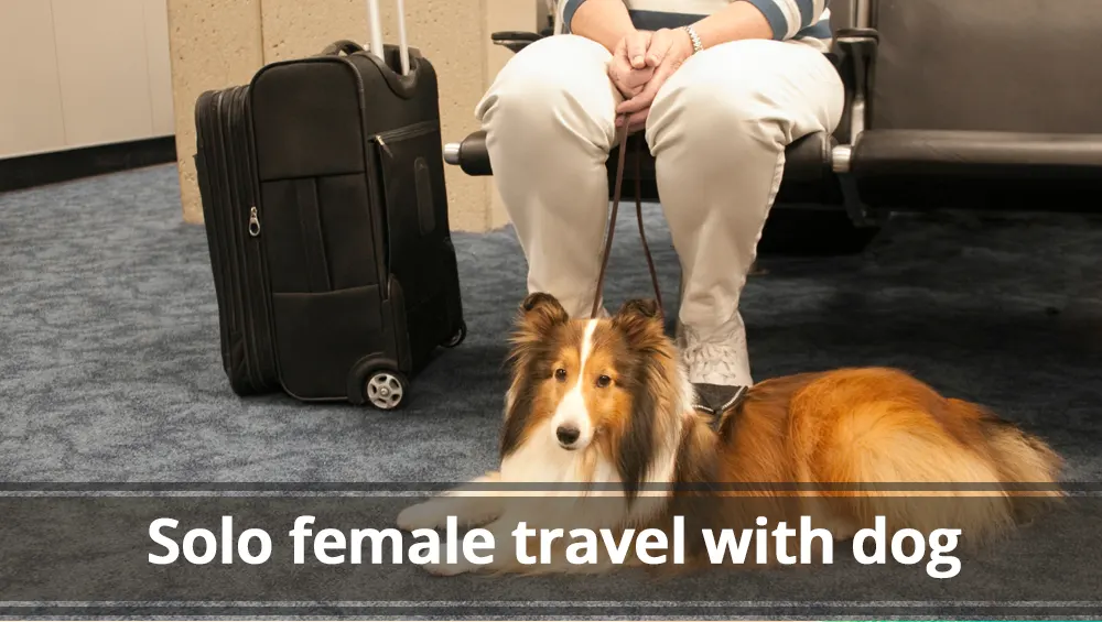 solo female travel with dog