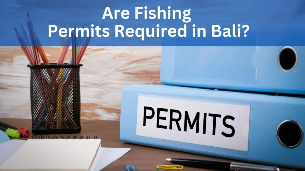 Are Fishing Permits Required in Bali