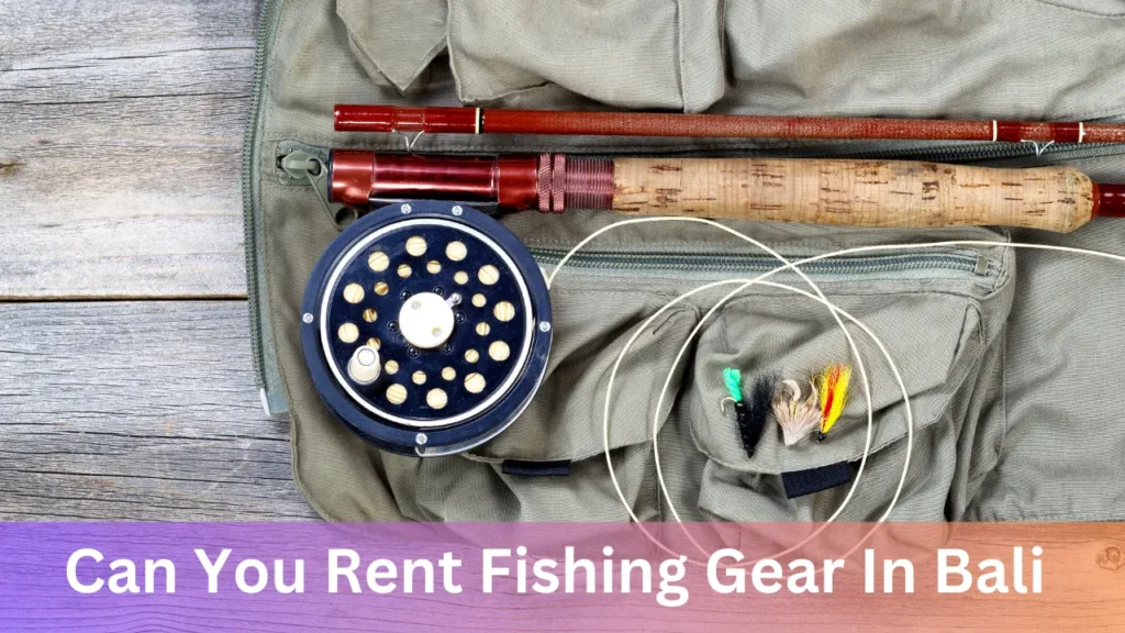 Can You Rent Fishing Gear In Bali