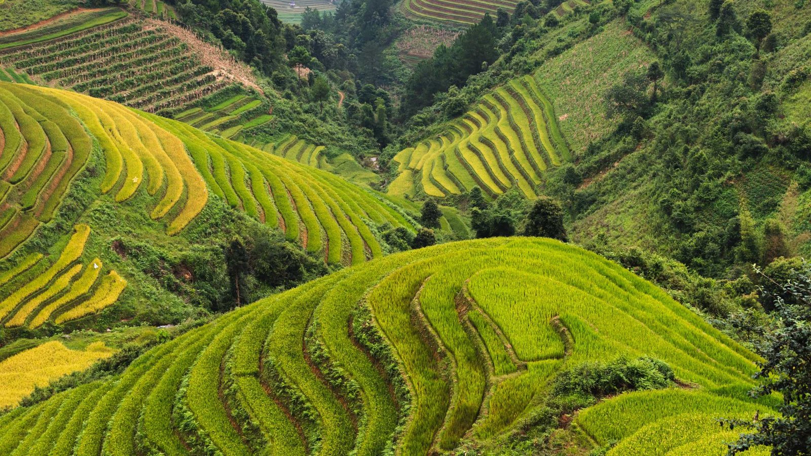 Vietnam's Vivid Landscapes