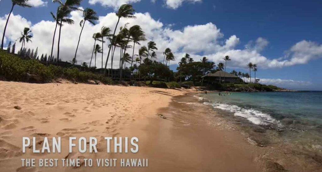 Best Times To Visit Hawaii