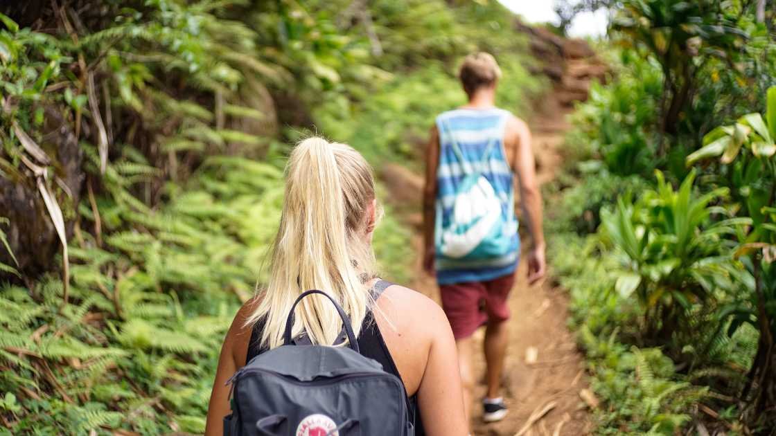 Hiking Trails For All Skill Levels