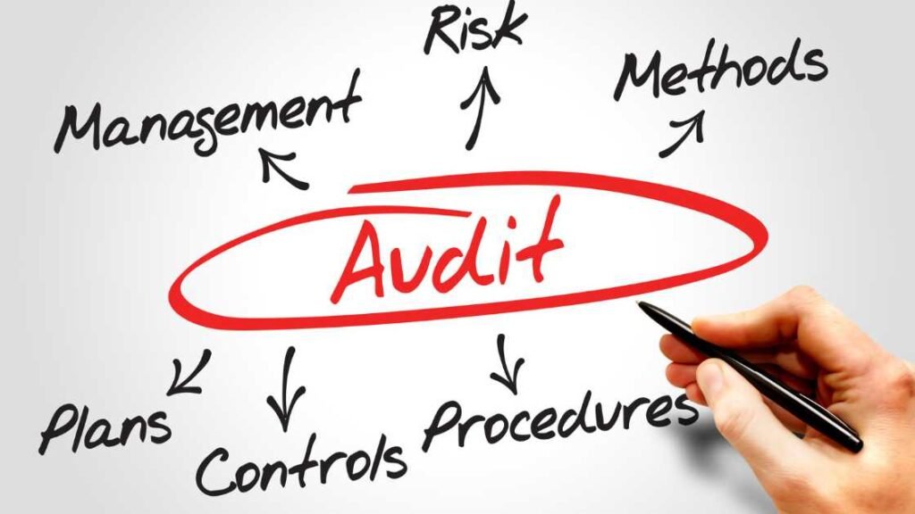 Audit Risks And Travel Deductions